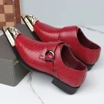 Stylish Monk Strap Dress Shoes with Metal Pointed Toe